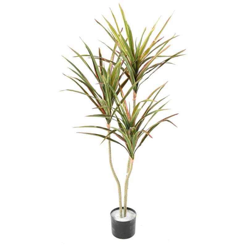 Dracaena Artificiel