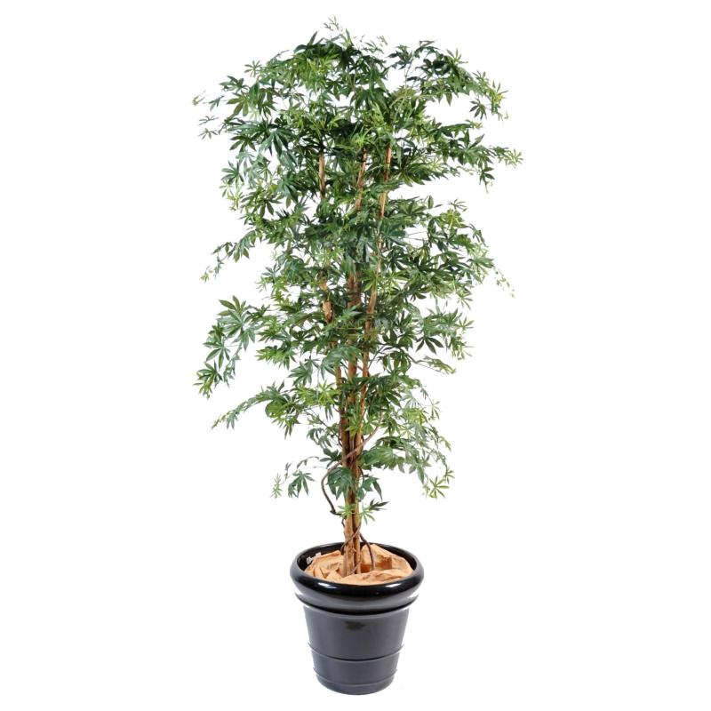 Aralia Artificiel NEW Erable