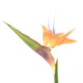 Strelitzia 80 Artificiel