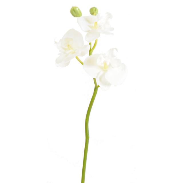 Phalaenopsis Artificiel Mini Orchidées