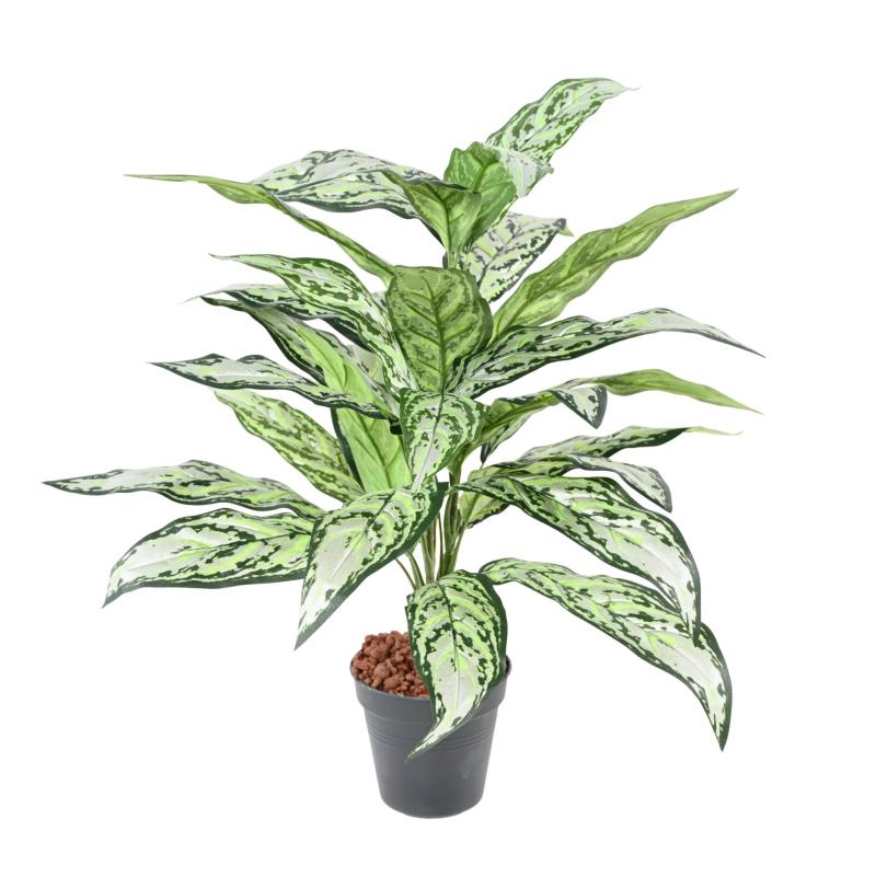 Aglaonema Artificiel *28