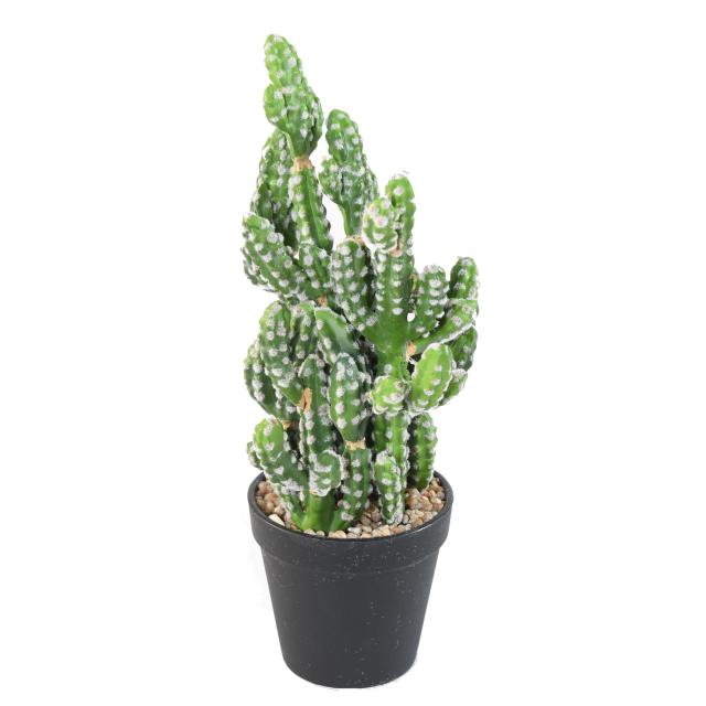 Cactus Artificiel 35