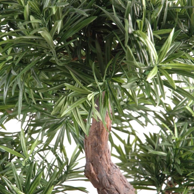 Bonsai Artificiel Podocarpus en Coupe