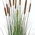 Cattail Artificiel