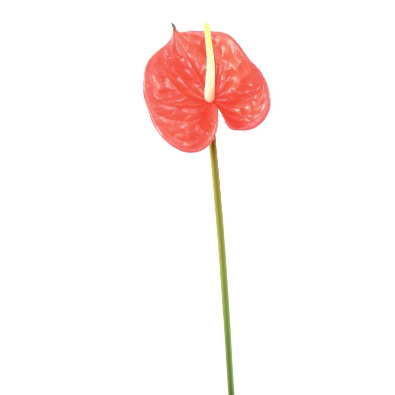 Anthurium Artificiel Mini