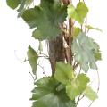 Vigne Artificielle Round