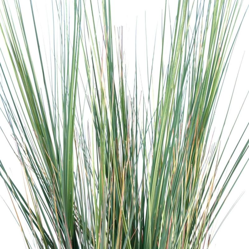 Onion Grass Artificiel