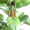 Pothos Artificiel Géant
