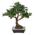 Bonsai Artificiel Ficus en Coupe