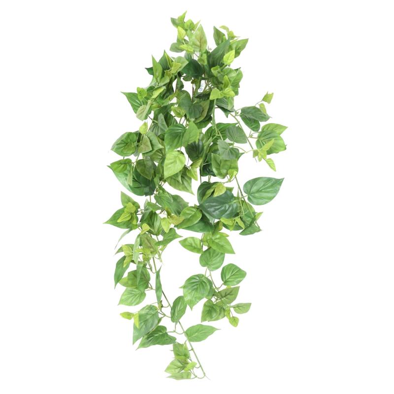 Pothos Artificiel