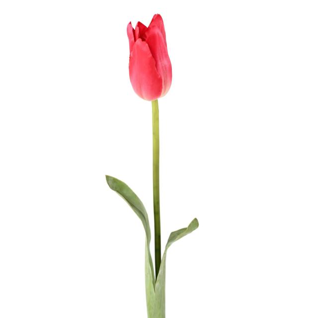 Tulipe Artificielle