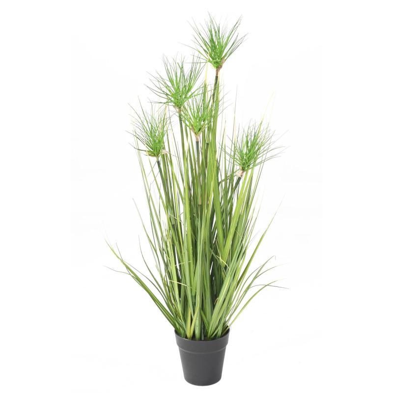 Chrysopogon Artificiel Grass