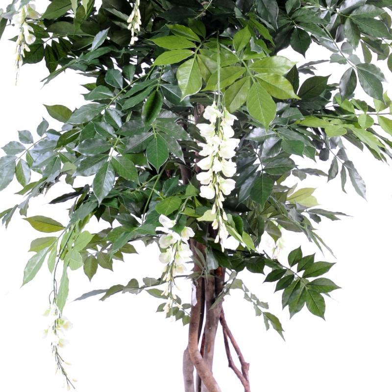 Glycine Artificielle Multi TREE