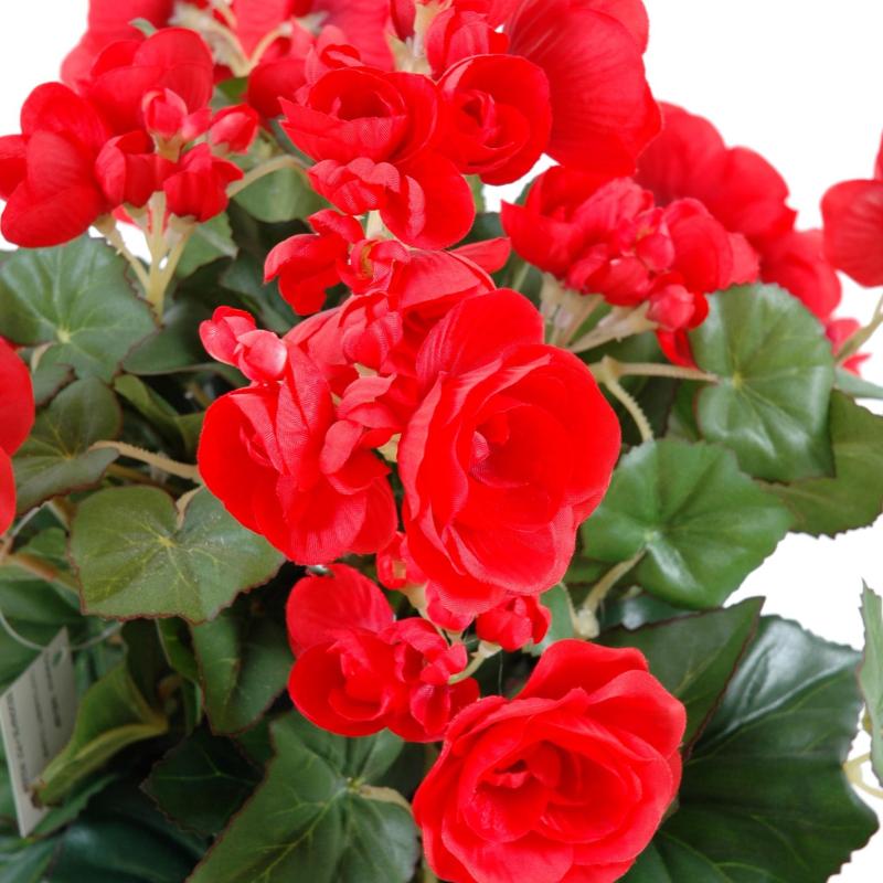 Begonia Artificiel