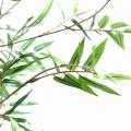 Bambou Artificiel Oriental NEW