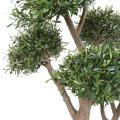 Olivier Bonsai Artificiel Multi Tete