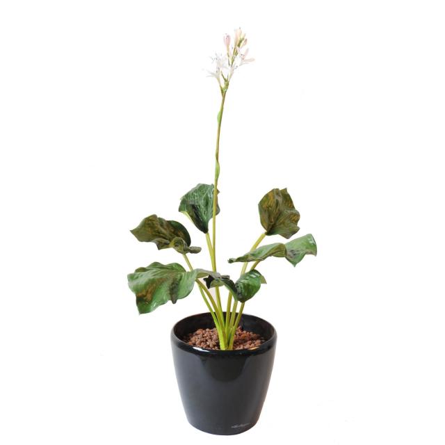 Hosta Artificiel Fleuri