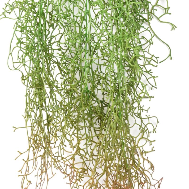 Tillandsia Artificiel Chute