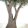Olivier artificiel TREE