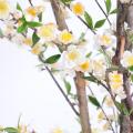 Cerisier Artificiel Fleurs