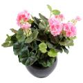 Geranium Artificiel 25 CM