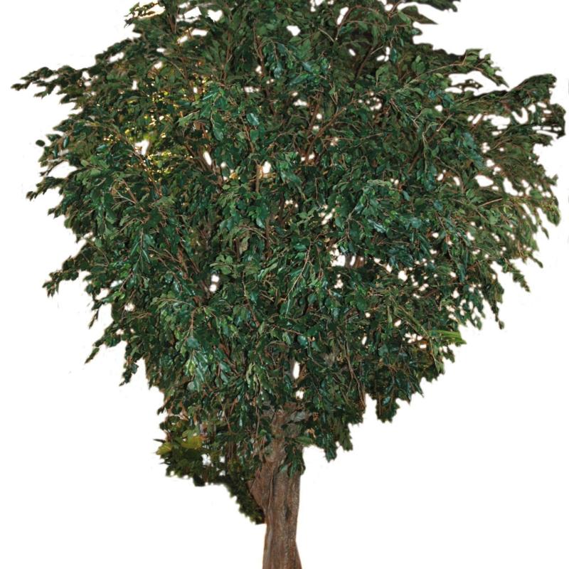 Ficus Artificiel Giant TREE