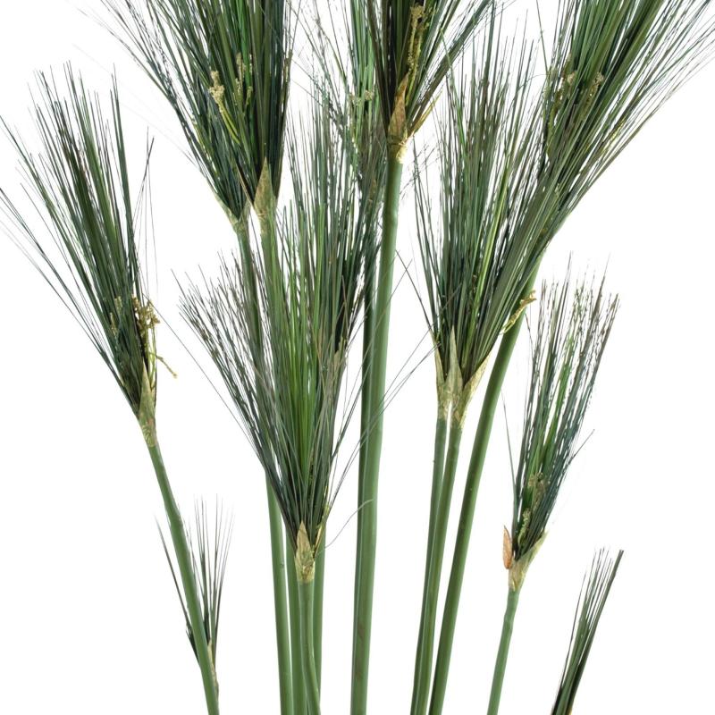 Papyrus Artificiel Cyperus