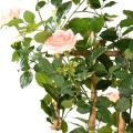 Rosier Artificiel Royal Palissade Large