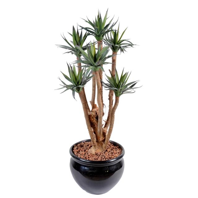 Agave Artificielle *9
