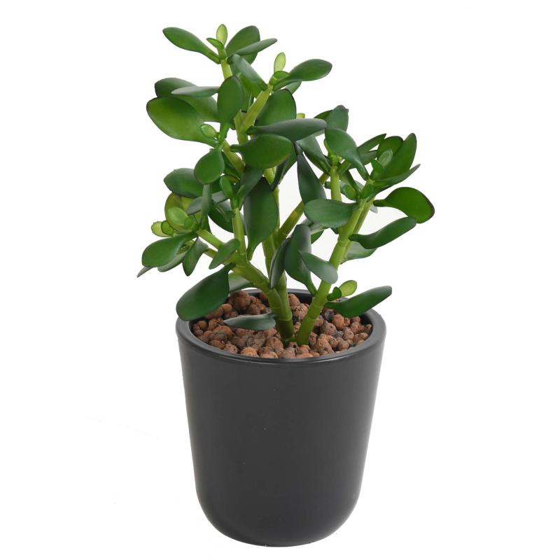 Crassula Artificiel Jade Plant