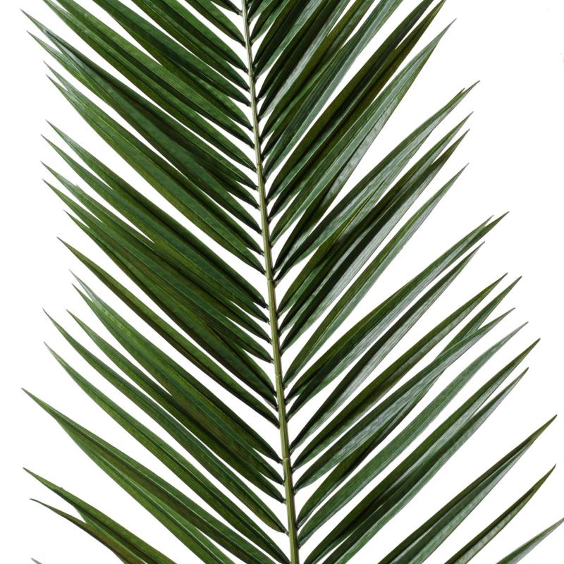 Palme Artificielle Phoenix Canariensis
