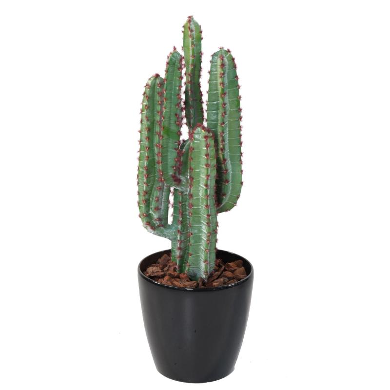 Cactus Artificiel 77