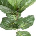 Lyrata Artificiel