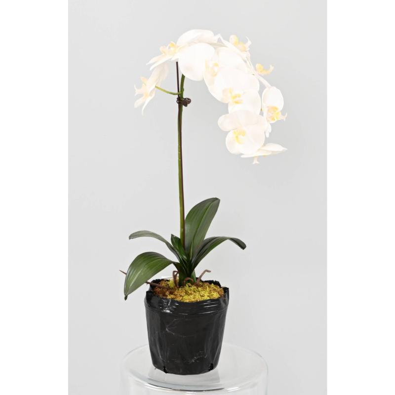 Phalaenopsis Artificielle Motte 85