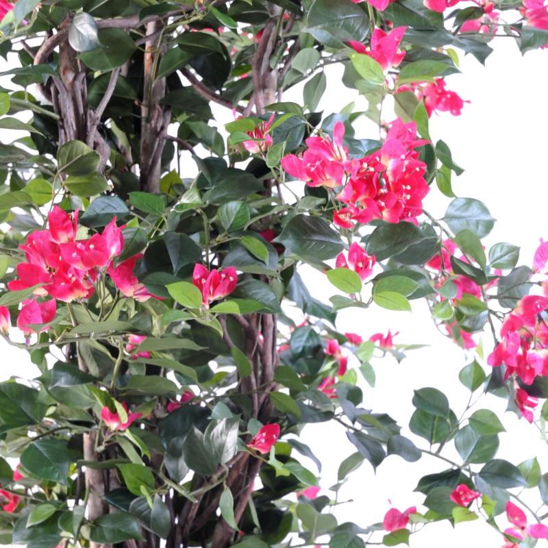 Bougainvillee Artificiel NEW Lianes