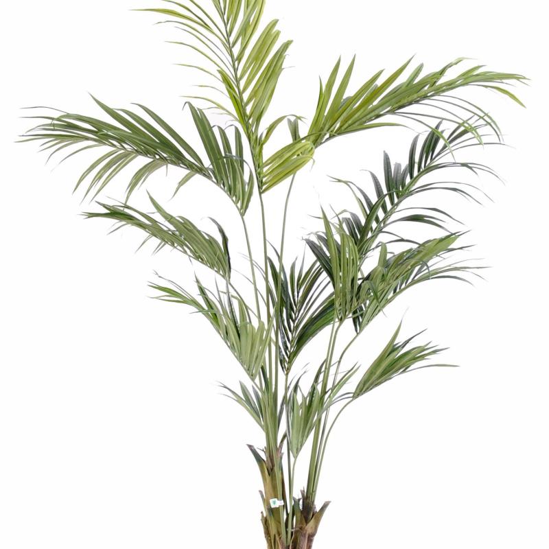 Kentia Artificiel Palm