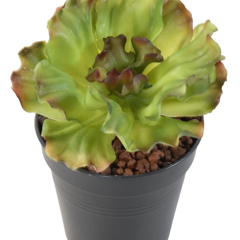 Aloe Artificielle Soft