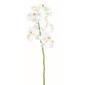 Phalaenopsis Artificiel Tige Medium *6