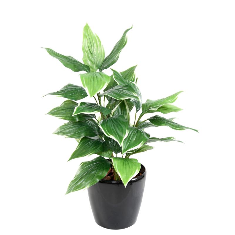 Hosta Artificiel *28