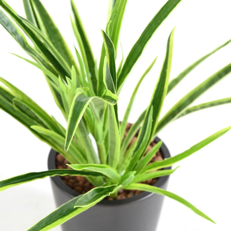 Dracaena Plant Artificiel