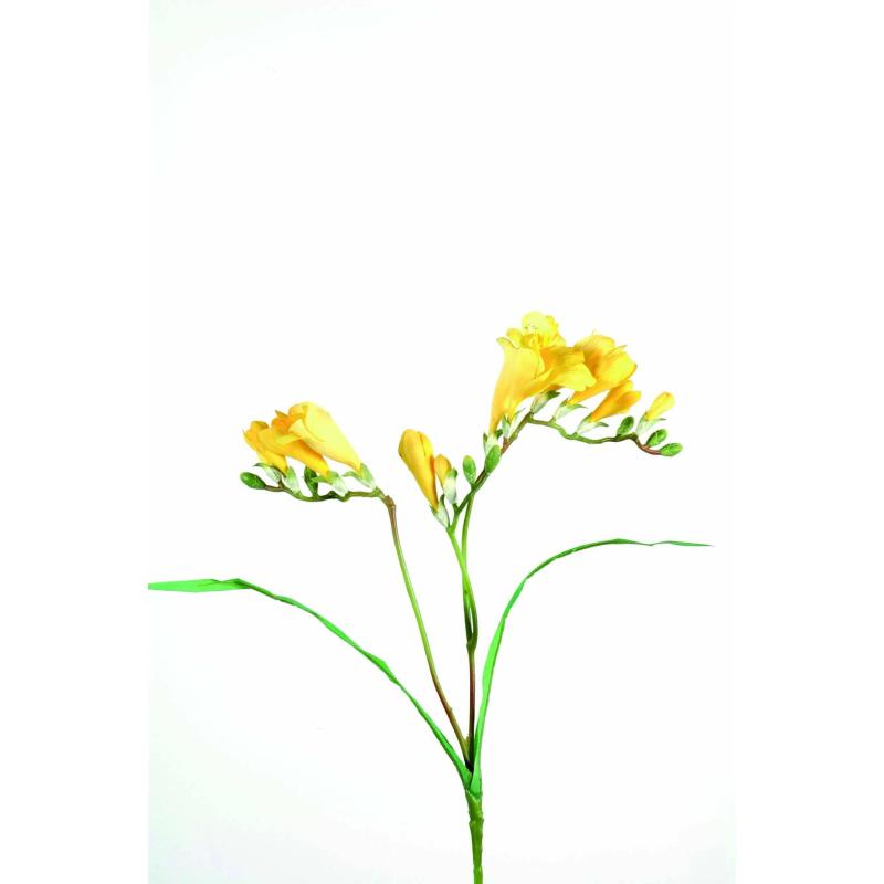 Freesia Artificielle