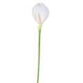 Arome Artificiel (arum)
