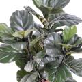 Lyrata Artificiel Tige