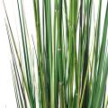Presle Grass Artificielle