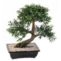 Bonsai Artificiel Black Willow en Coupe
