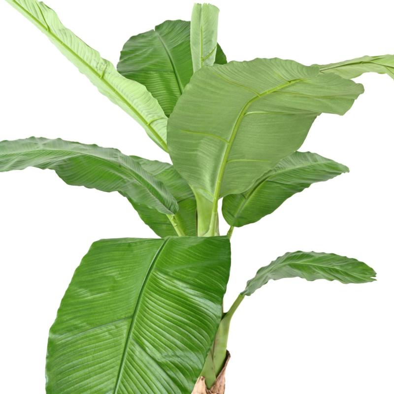 Bananier Artificiel Royal