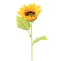 Tournesol Artificiel 66