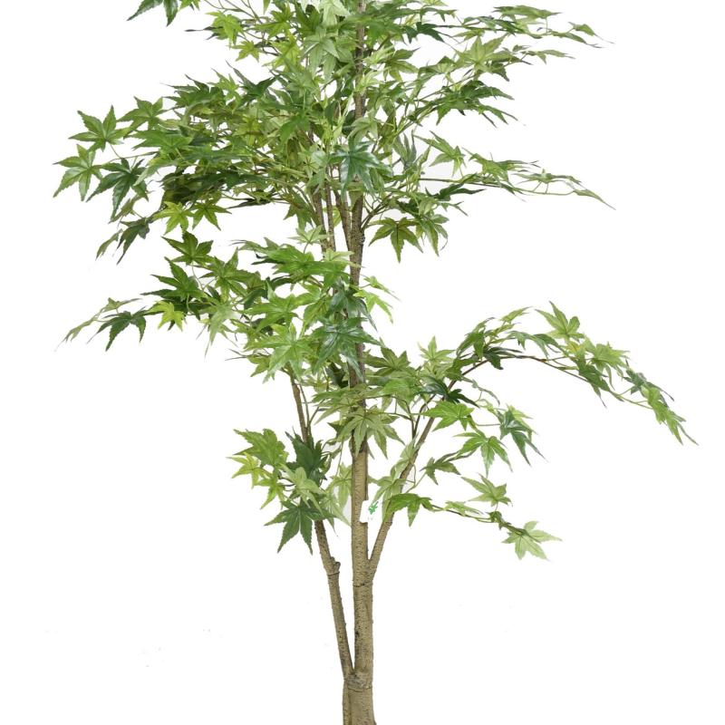 Aralia Artificel