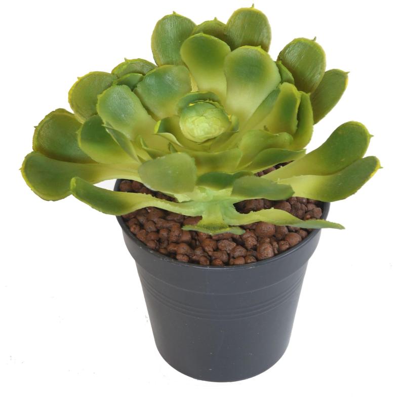 Aloe Artificielle Soft