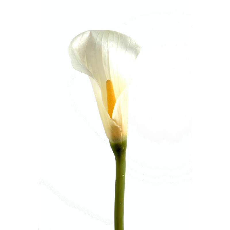 Calla Artificielle Lily